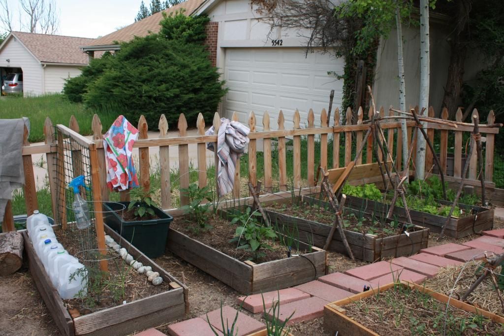  photo IMG_8267_zpse5f871c7.jpg